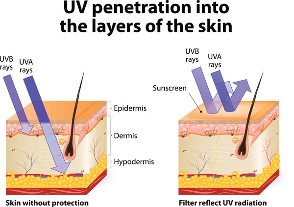 UV-penetration