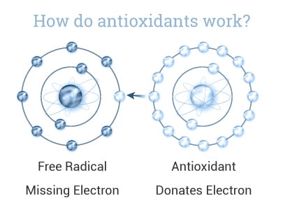 antioxidants-square
