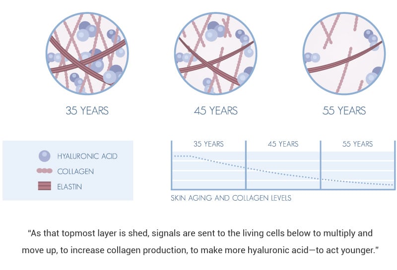 collagen-and-hyaluronic-acid