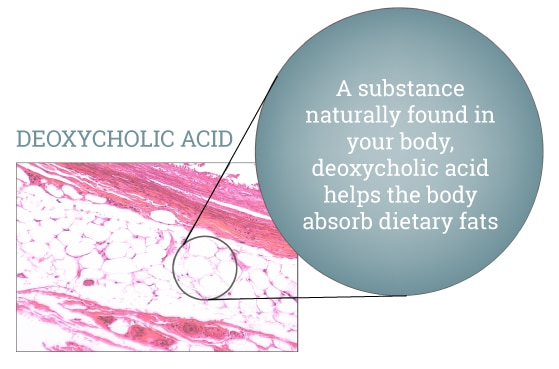 deoxycholic-acid