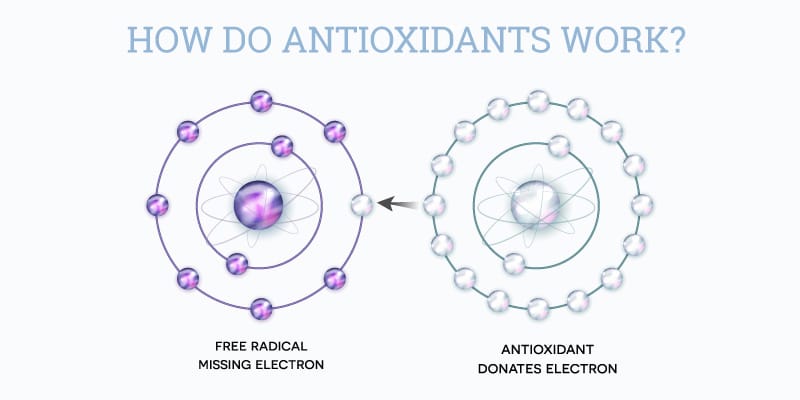 how-antioxidants-work